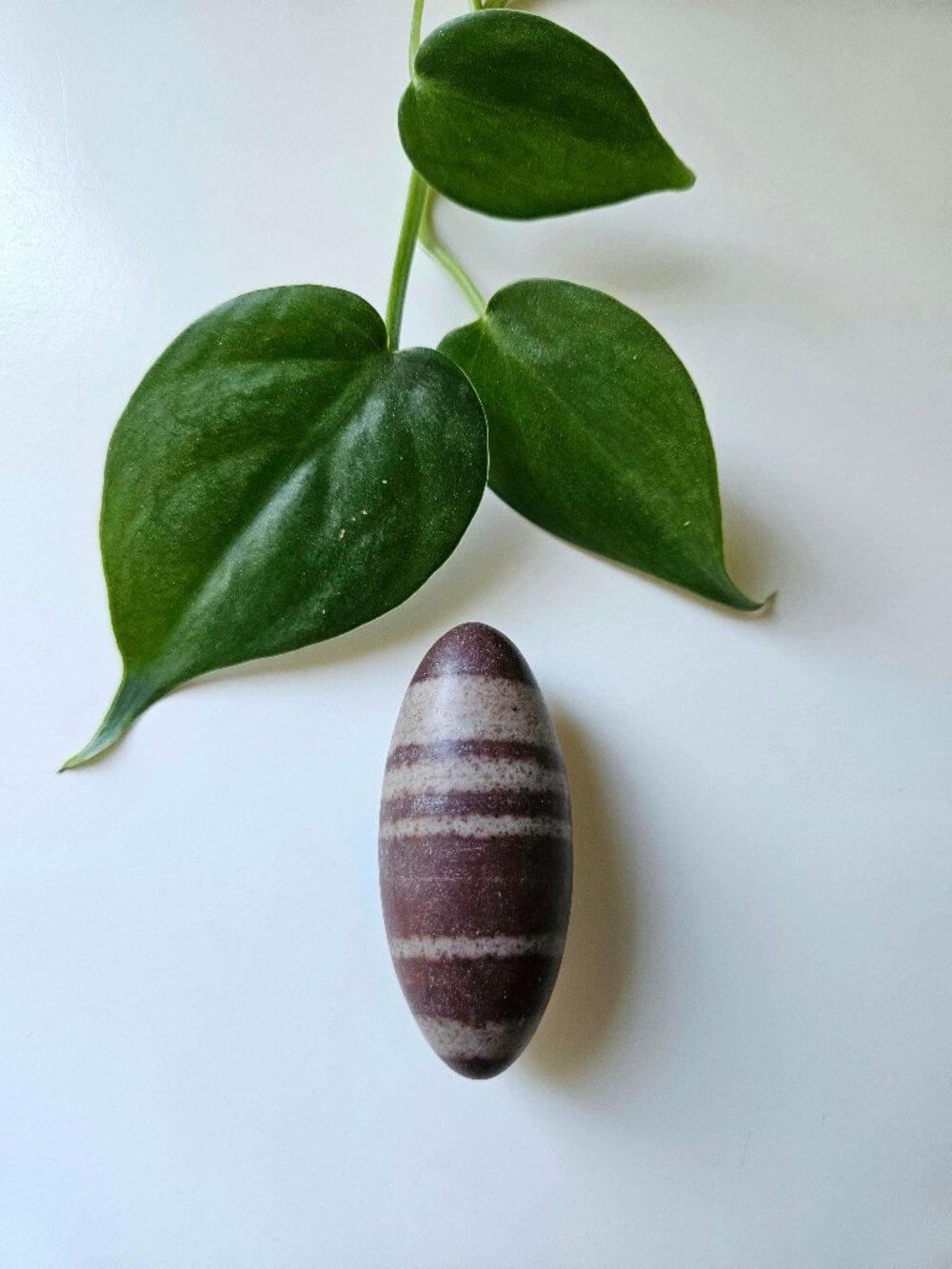 Authentic Narmada River Shiva Lingam Stone - 2.5" Meditation Crystal
